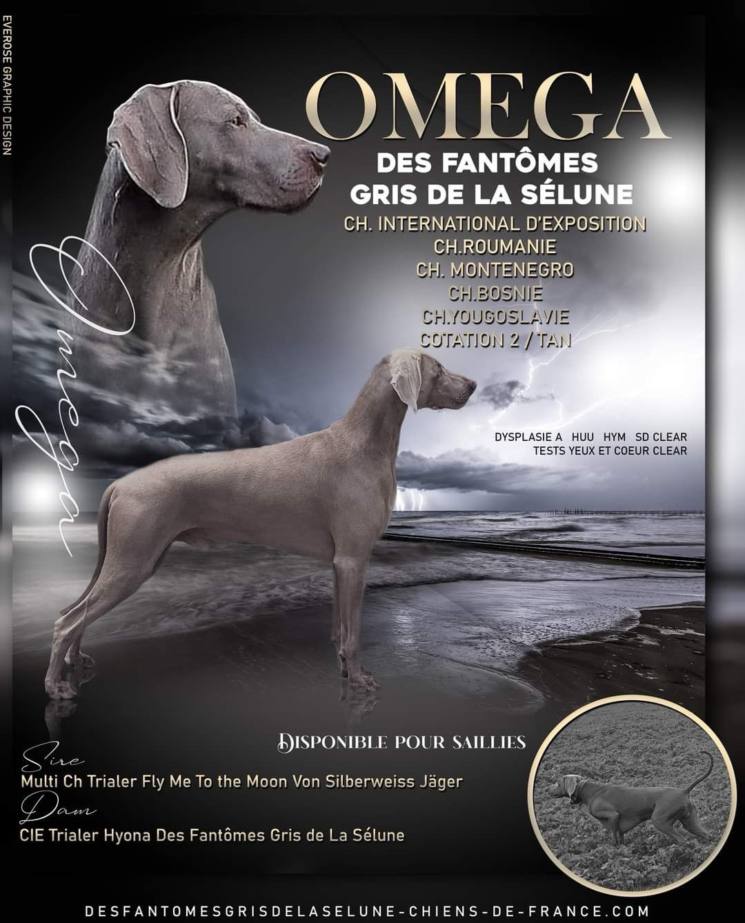 CH. OMEGA les fantomes gris de la selune