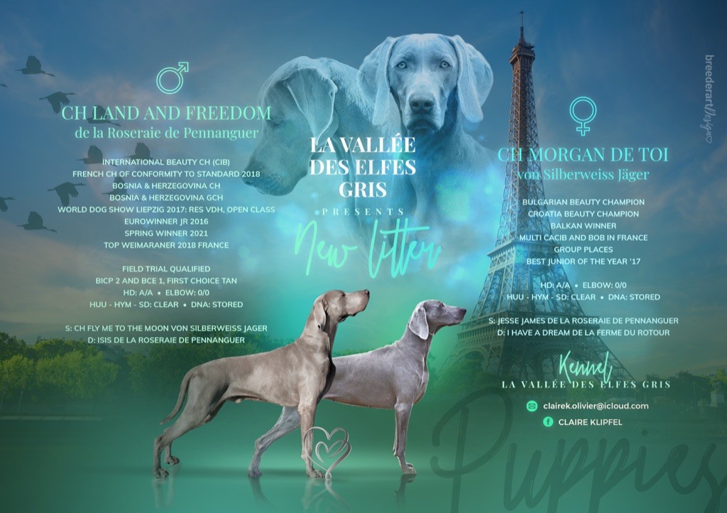 Litter "S" Morgan De Toi & Land and Freedom
